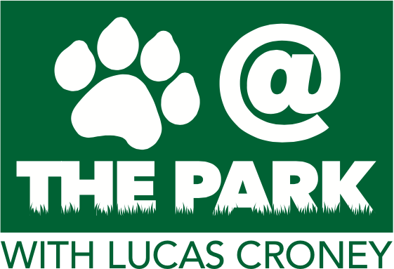 Paws At The Park